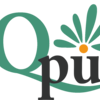 Qpu kogao さんのプロフィール画像