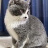 モンキーさんのプロフィール画像