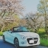 とまとさんのプロフィール画像