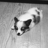 まるさんのプロフィール画像