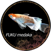 fukumedakaさんのプロフィール画像