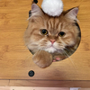 きんたさんのプロフィール画像