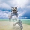 マモルさんのプロフィール画像