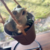 クロミさんのプロフィール画像