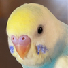 トモヒロさんのプロフィール画像