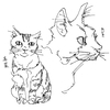 たけちかさんのプロフィール画像