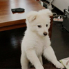 山田さんのプロフィール画像