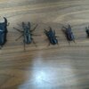 ウシさんのプロフィール画像