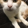 あおさんのプロフィール画像
