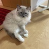 TUEさんのプロフィール画像