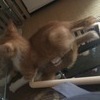 プンプン丸さんのプロフィール画像