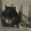 ゆいこさんのプロフィール画像