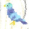 kacky5050さんのプロフィール画像