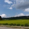 oyaiさんのプロフィール画像