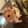 まりもさんのプロフィール画像