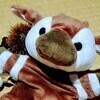 オカピさんのプロフィール画像