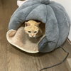 たけちゃんさんのプロフィール画像