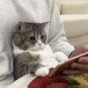 nekotoさんのプロフィール画像