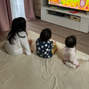 だりこたちーずさんのプロフィール画像