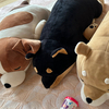 ふたごさんのプロフィール画像
