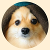 りりあさんのプロフィール画像