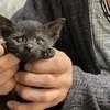 ももさんのプロフィール画像