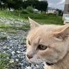 kentaroさんのプロフィール画像