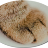 エコリピさんのプロフィール画像