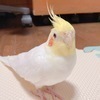 たけたけさんのプロフィール画像