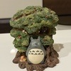 ちょうさんのプロフィール画像