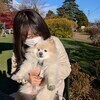 ポメラニアンさんのプロフィール画像