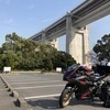 サメうどんさんのプロフィール画像
