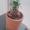 みゆさんのプロフィール画像