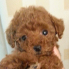 kenkenさんのプロフィール画像