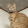 Michaelさんのプロフィール画像