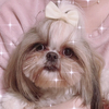 𝒴𝓾𝓾さんのプロフィール画像