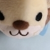 ほのかさんのプロフィール画像