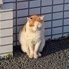 たいちゃずけさんのプロフィール画像