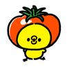 mokoさんのプロフィール画像