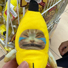 カルラさんのプロフィール画像