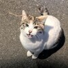naoさんのプロフィール画像