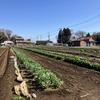 野菜の救太郎さんのプロフィール画像