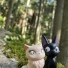 ゆうさんのプロフィール画像