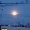 ♪もぐ♪さんのプロフィール画像