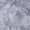 あささんのプロフィール画像