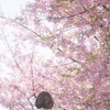 たなかさんのプロフィール画像