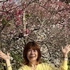 makoさんのプロフィール画像