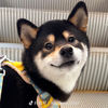 庄凱彬さんのプロフィール画像