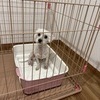 ちいさんのプロフィール画像