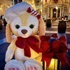 めーさんのプロフィール画像